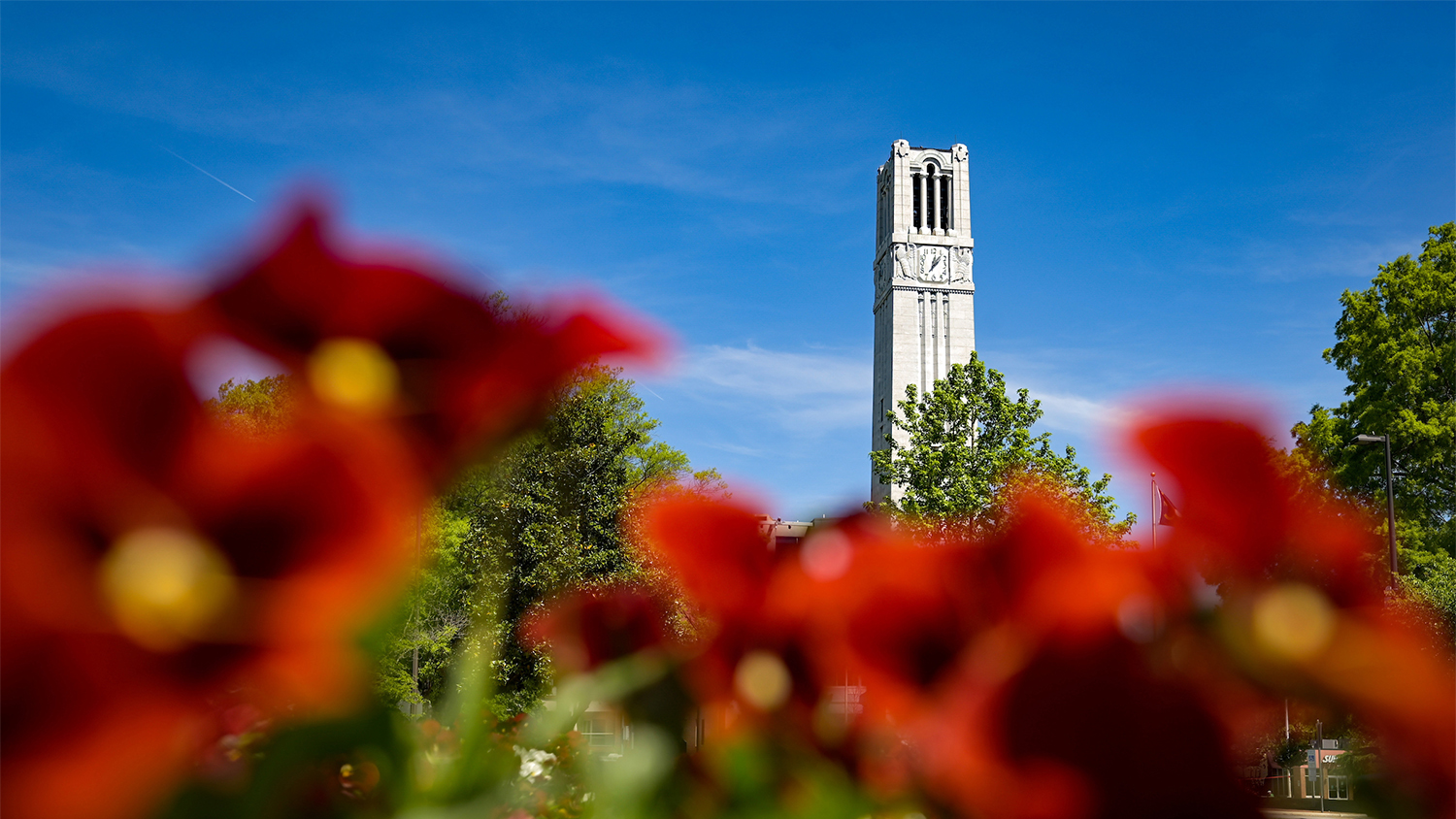 Spring blooms around the Memorial Belltower on an April afternoon. Photo by Becky Kirkland.