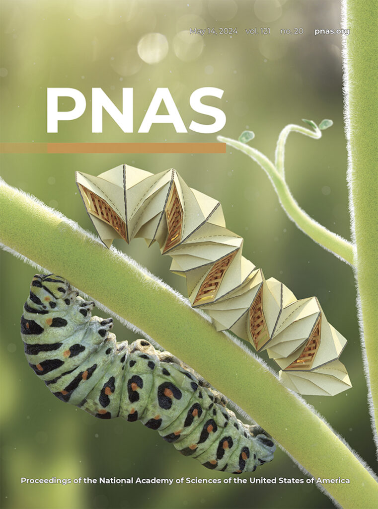 Cover of PNAS journal. Cover image shows a soft robot and a caterpillar on the branch of a green plant. The caterpillar is on the bottom of the branch and the soft robot is on the top or opposite side of the branch.