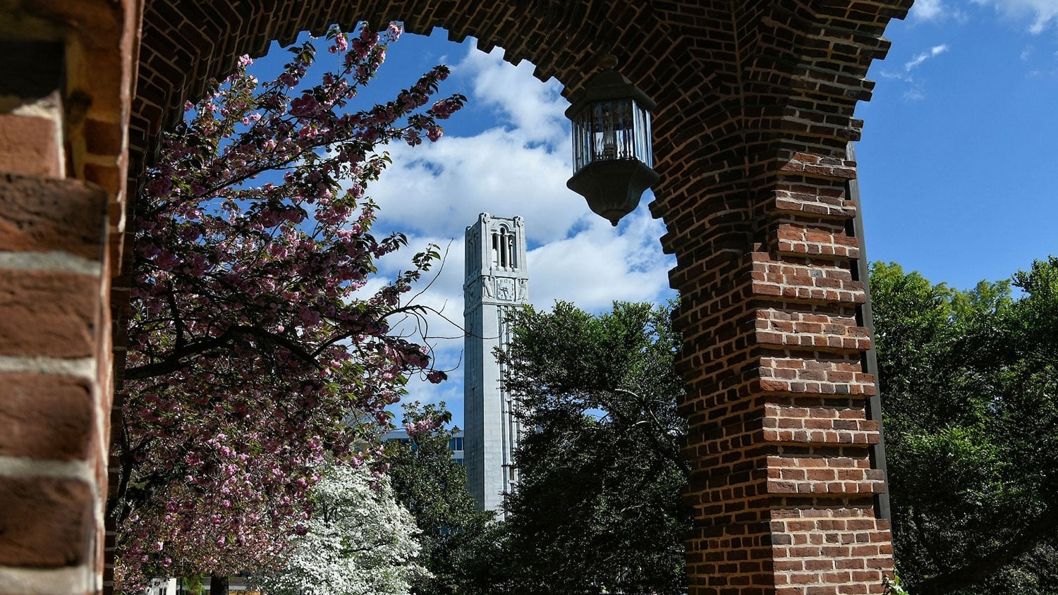 A shot of NC State's Belltower centered in front of a partly cloudy blue sky, with the Belltower partially obscured by green leafy trees and pink and white spring foliage. The shot is taken from underneath a brick awning, and one of the awning's brick columns dominates the frame to the right of the Belltower. A hanging lantern-style light can be seen near the center-top.