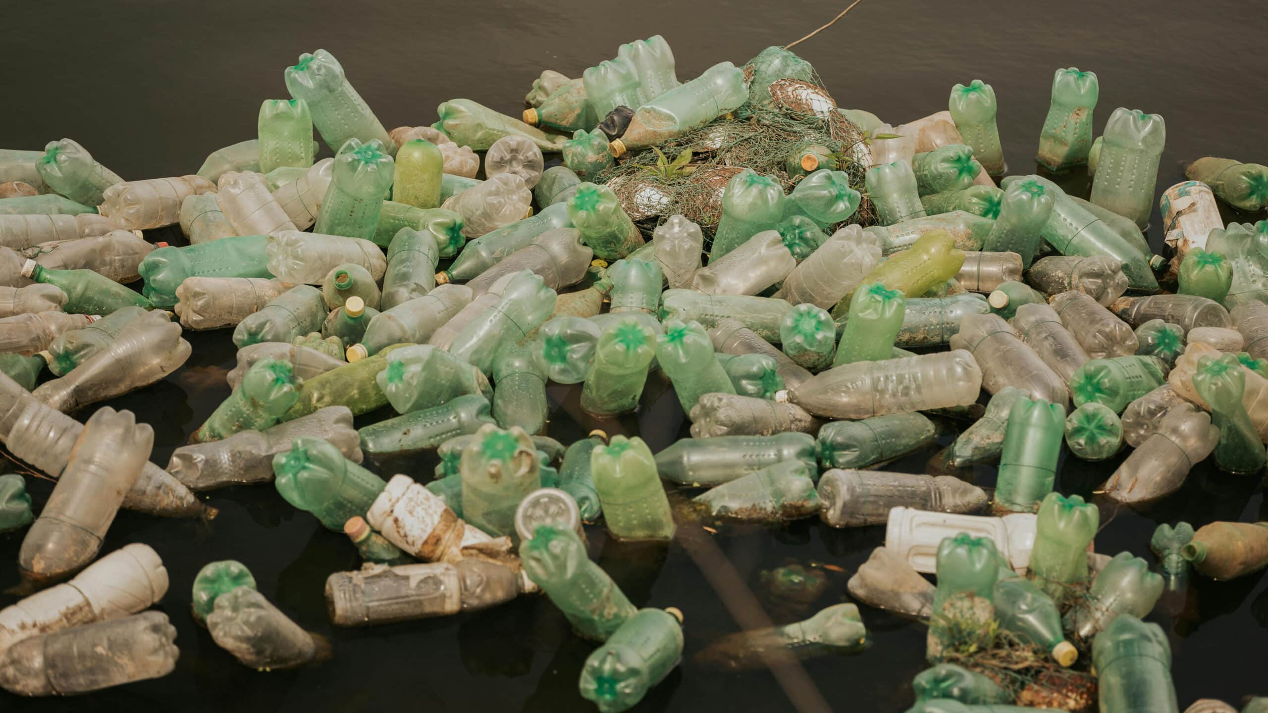 Plastic bottles in water.