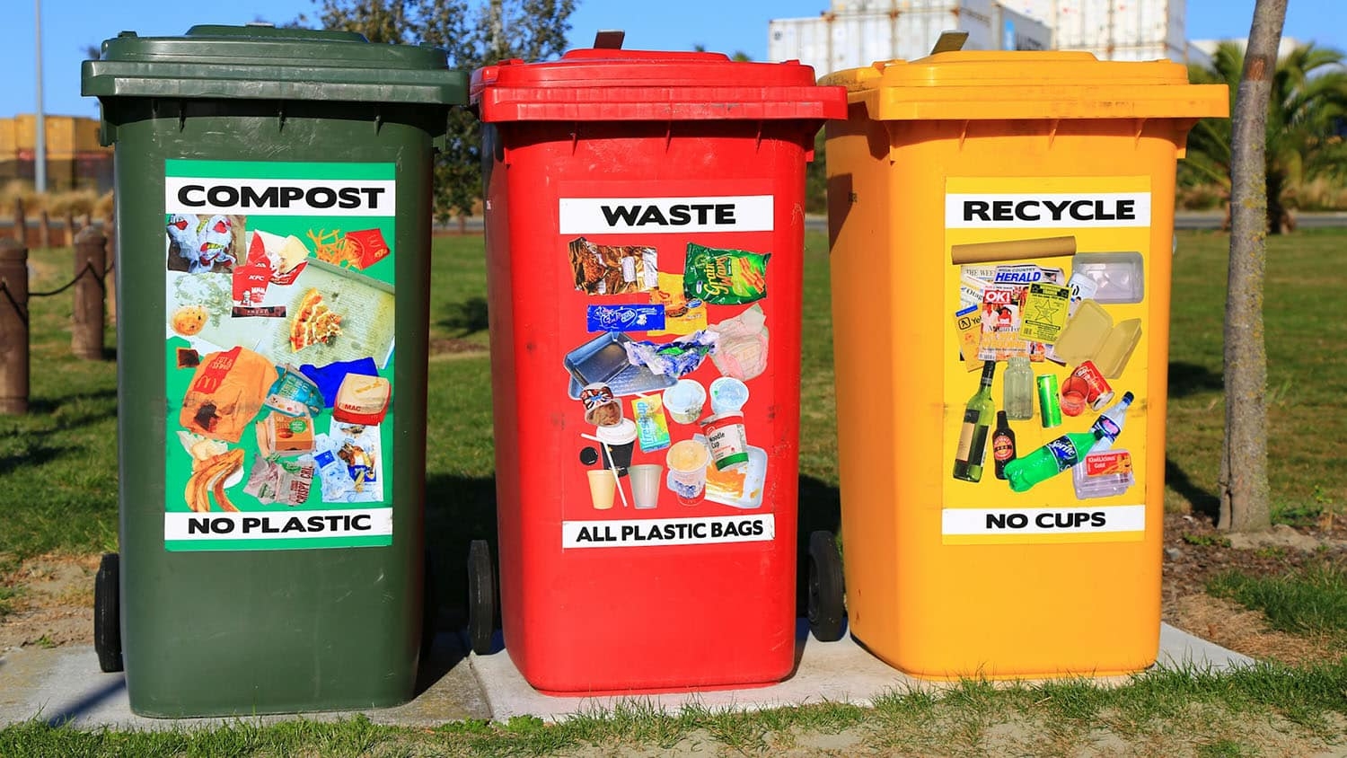 three waste collection cans sit next to each other. a green one is labeled compost; a red one is labeled waste; a yellow one is labeled recycling