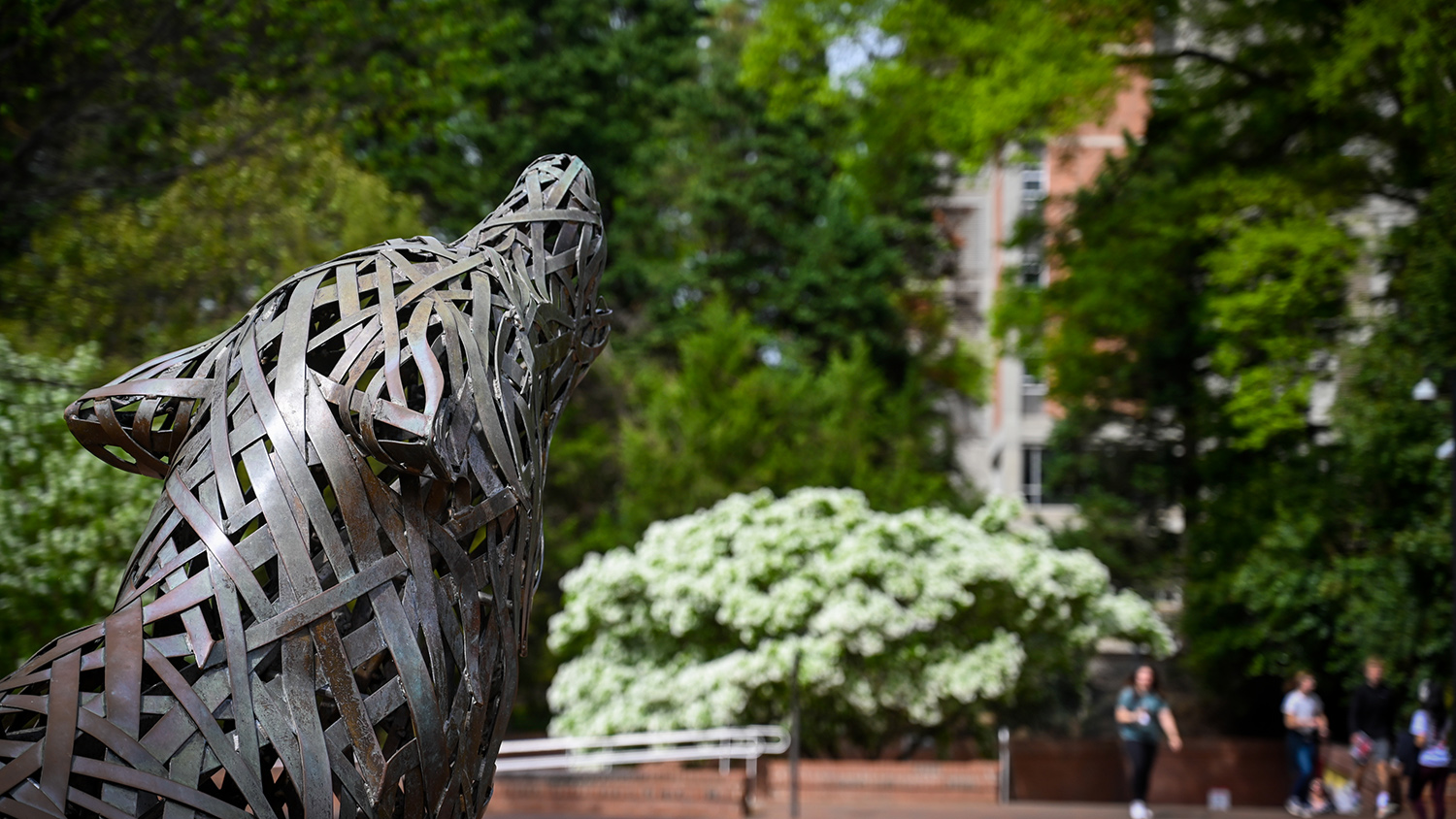 "One of the copper wolves at Wolf Plaza looks out over students passing by during sprintime."