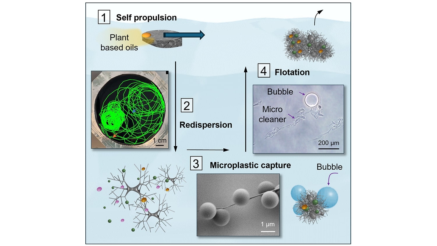Image of four-step process of capturing microplastics from water.