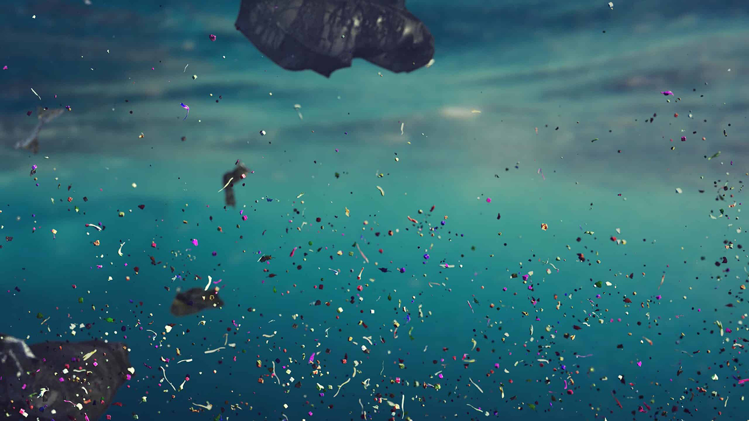 An image of microplastics in water.