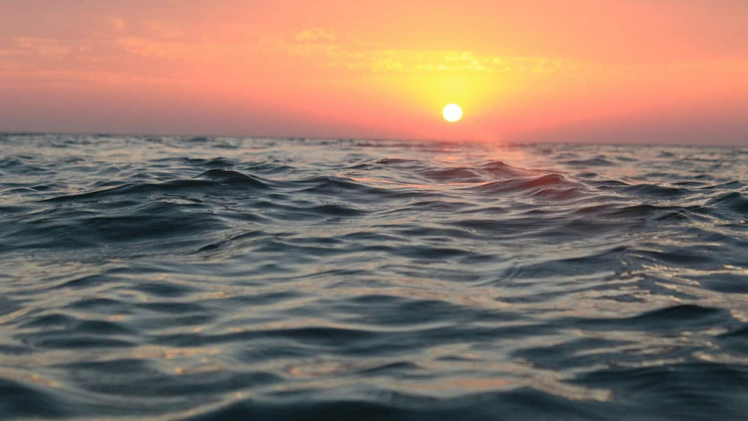 sunlight reflects off the water on a large lake