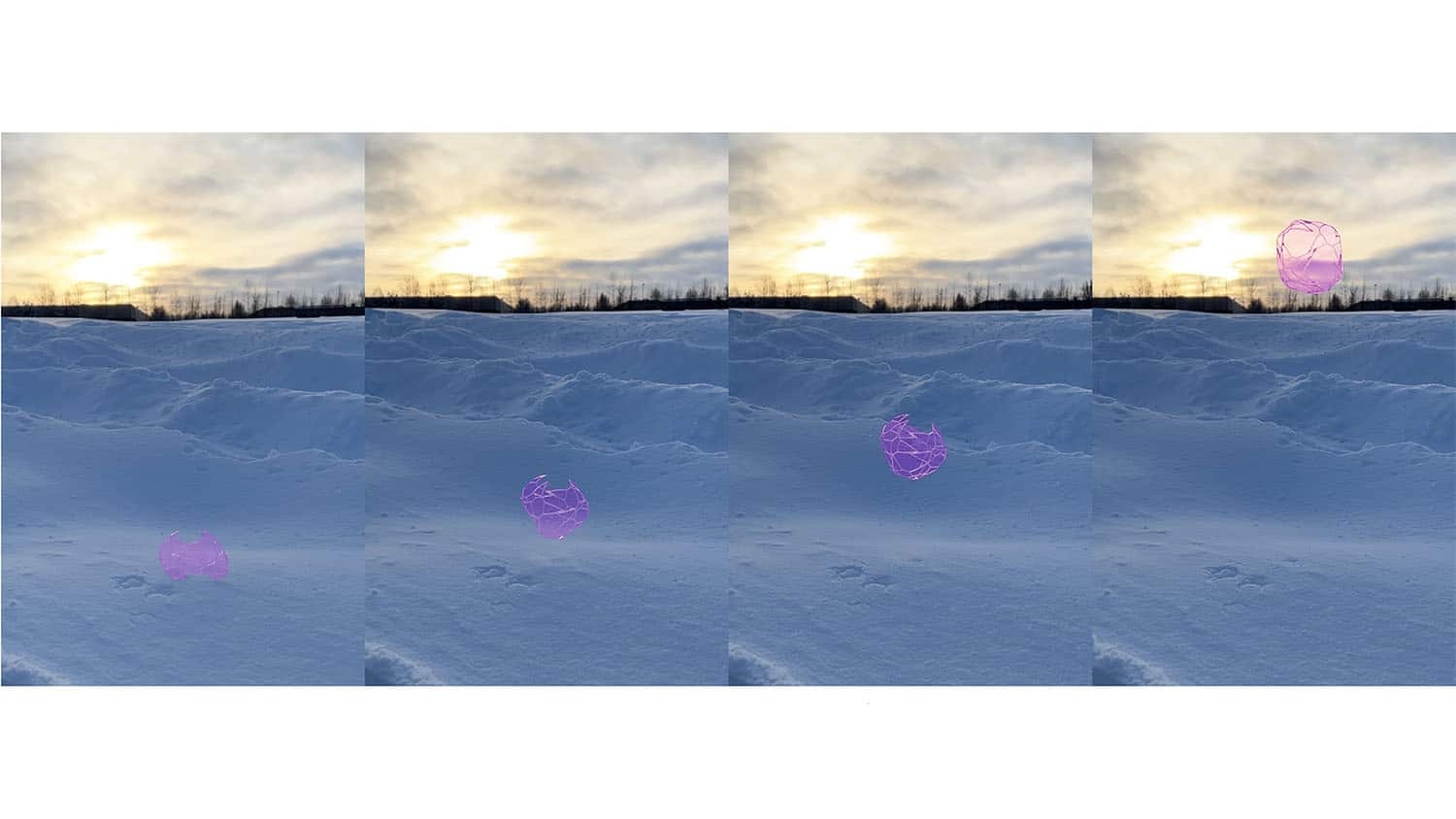 Metashell jumping on a field of snow.