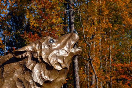 (Photo: Pack Pix, NC State University)