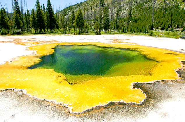 Yellowstone hot springs