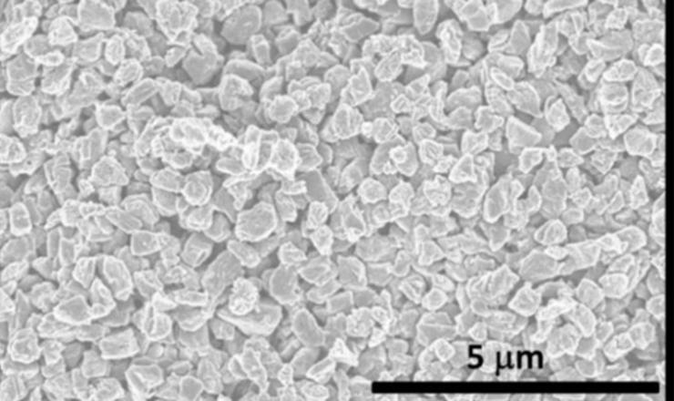 This is a scanning electron microscopy image of microdiamonds made using the new technique.