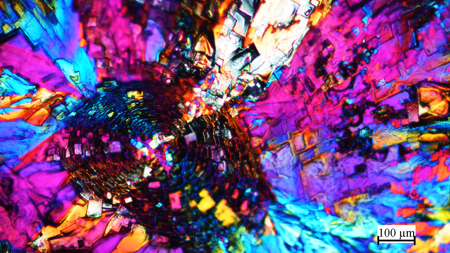 Image by Dr. Richard Spontak