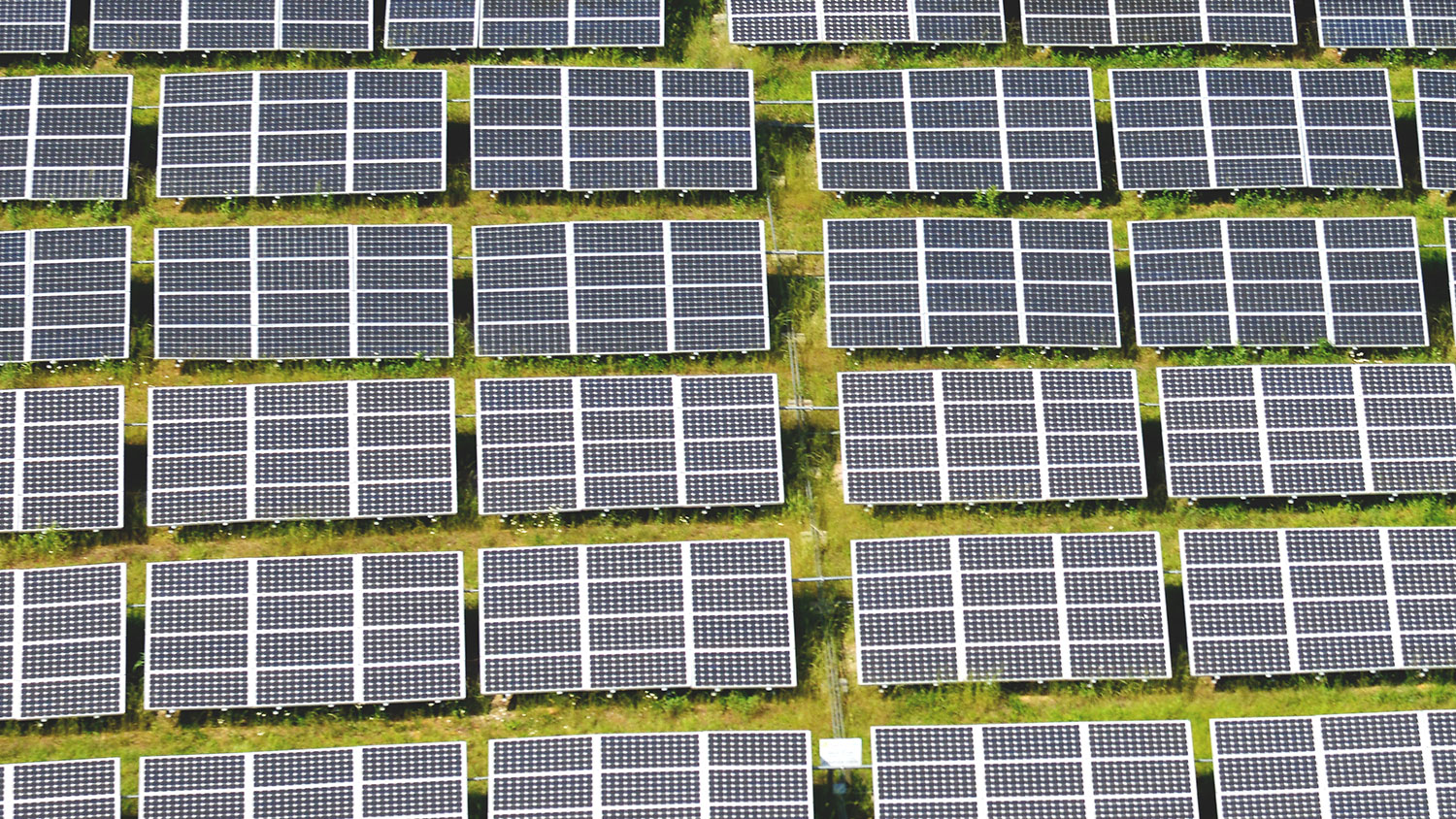 solar panels