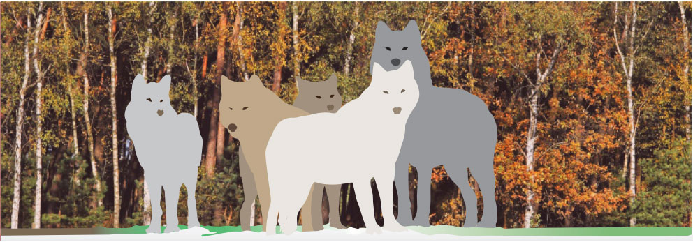 Graphic of wolves overlaid on a trees with fall foliage. 