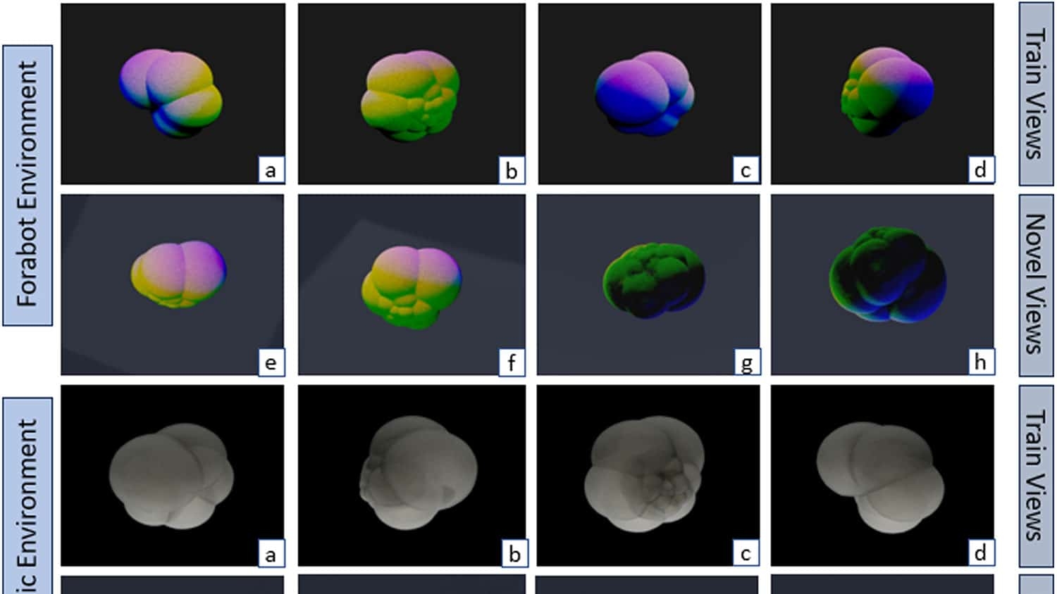 An image of digital renderings of tiny fossils, ranging from black and white to a prism of colors.
